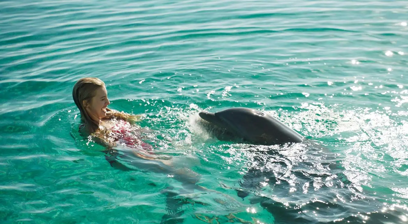 L'isola dei delfini film dove è girato