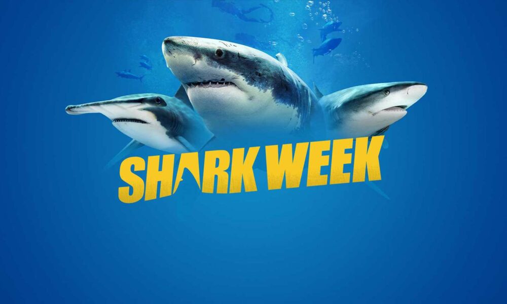 Shark Week 2024 orari