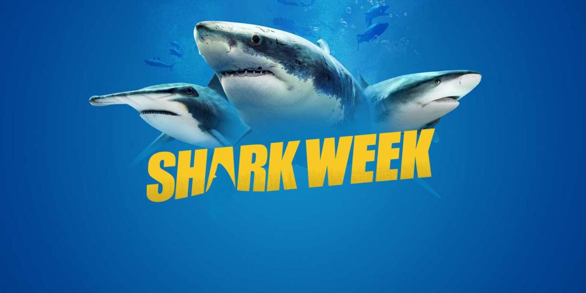 Shark Week 2024 orari