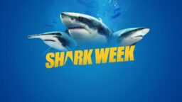 Shark Week 2024 orari