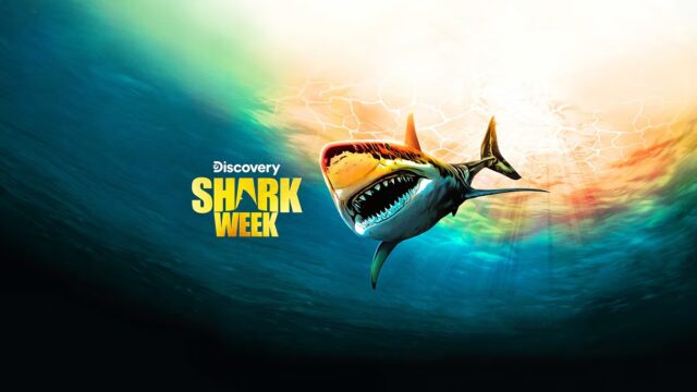 Shark-Week-2024-programmi