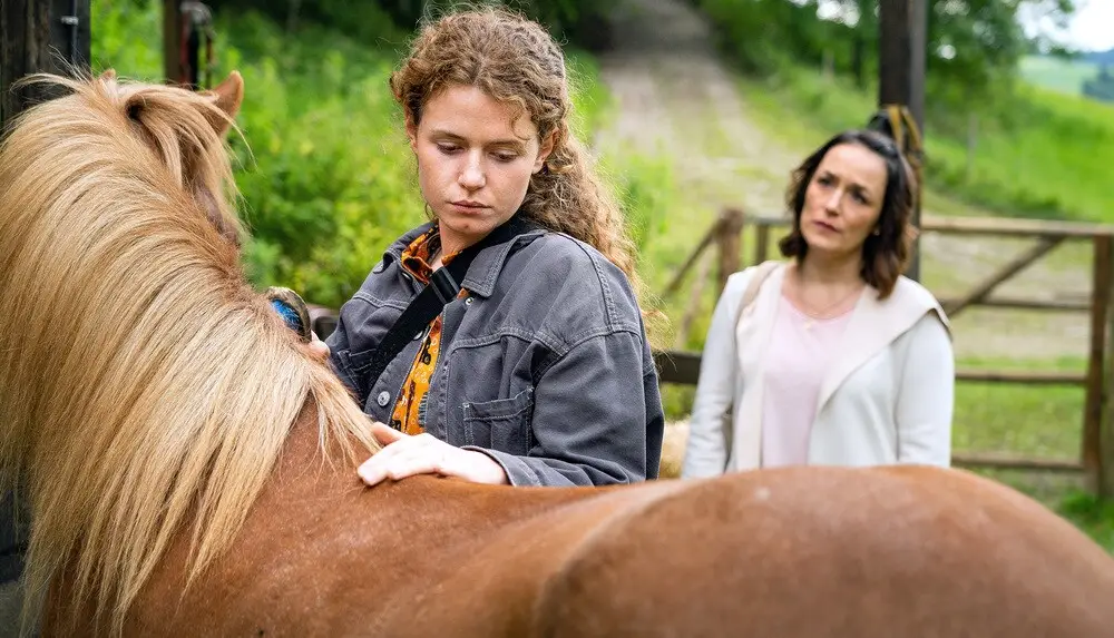 La casa tra le montagne Le famiglie di nuovo insieme film attori