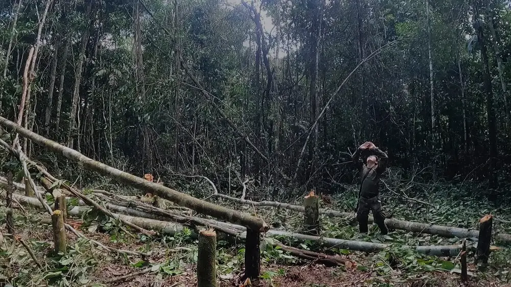 Los niños perdidos 40 giorni nella foresta film dove è girato